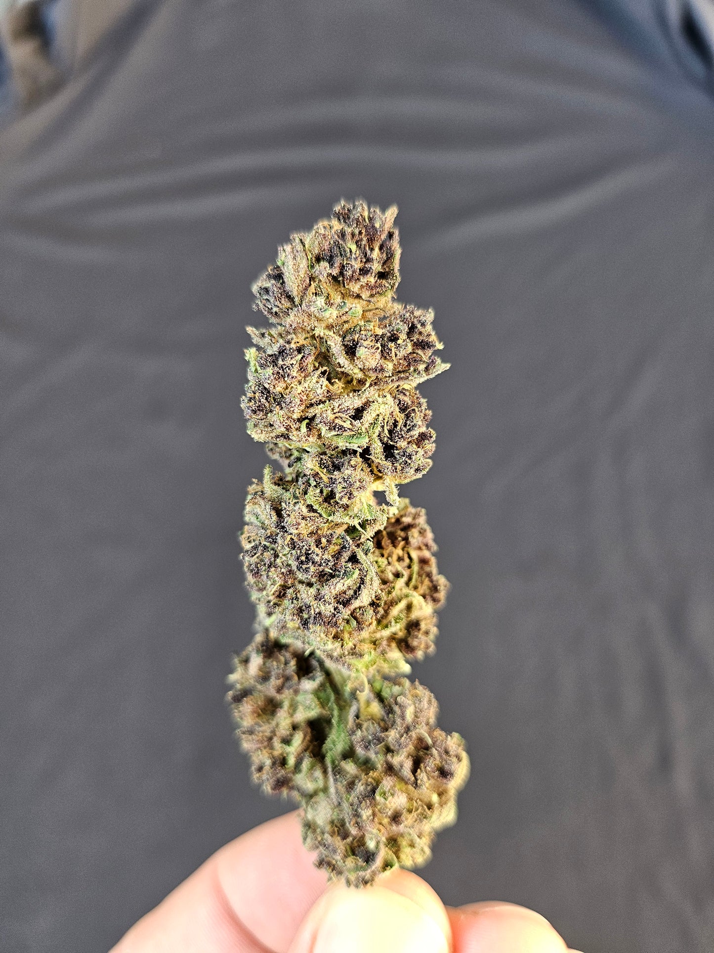 Lemon Cookie Dough CBD