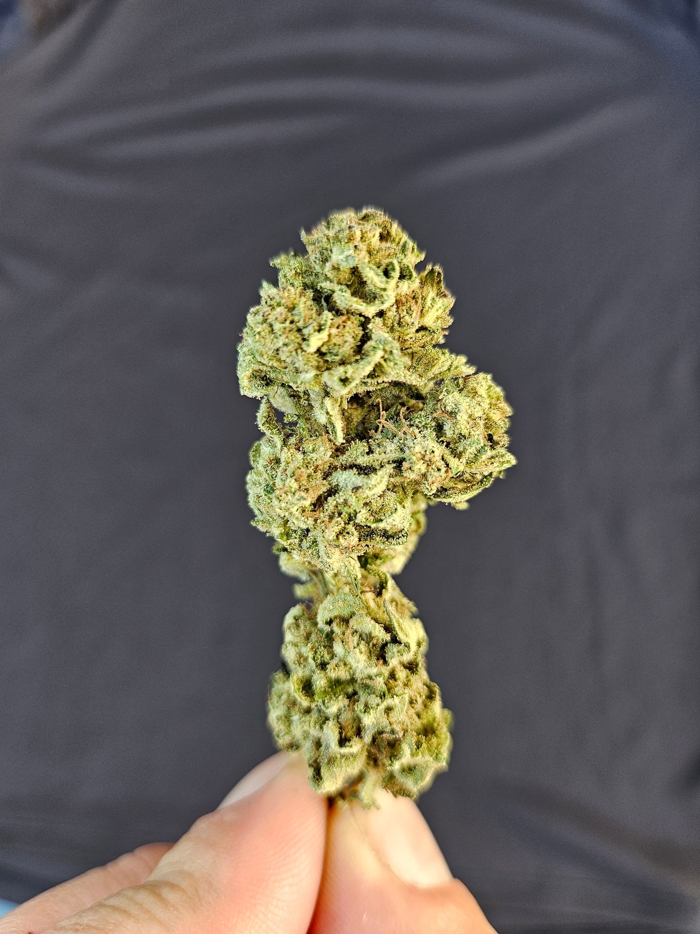 Lemon Cookie Dough CBD