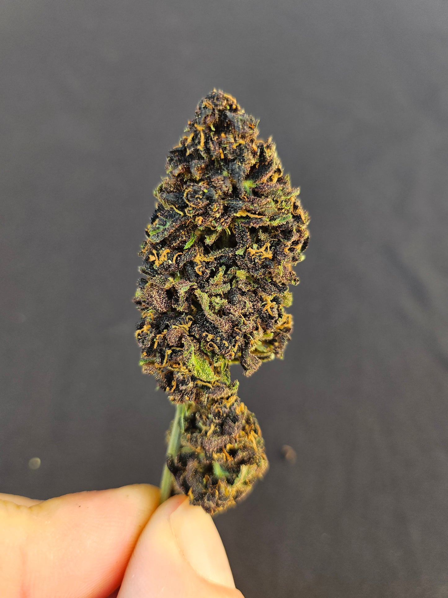 Legendary Platinum OG