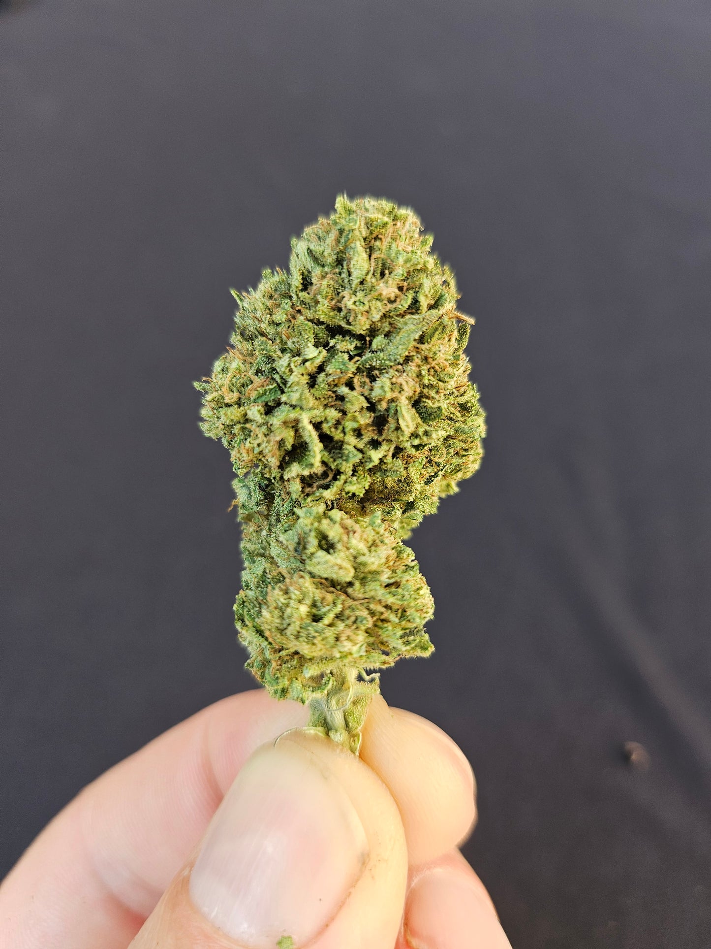 Miracle Lemon Cookie