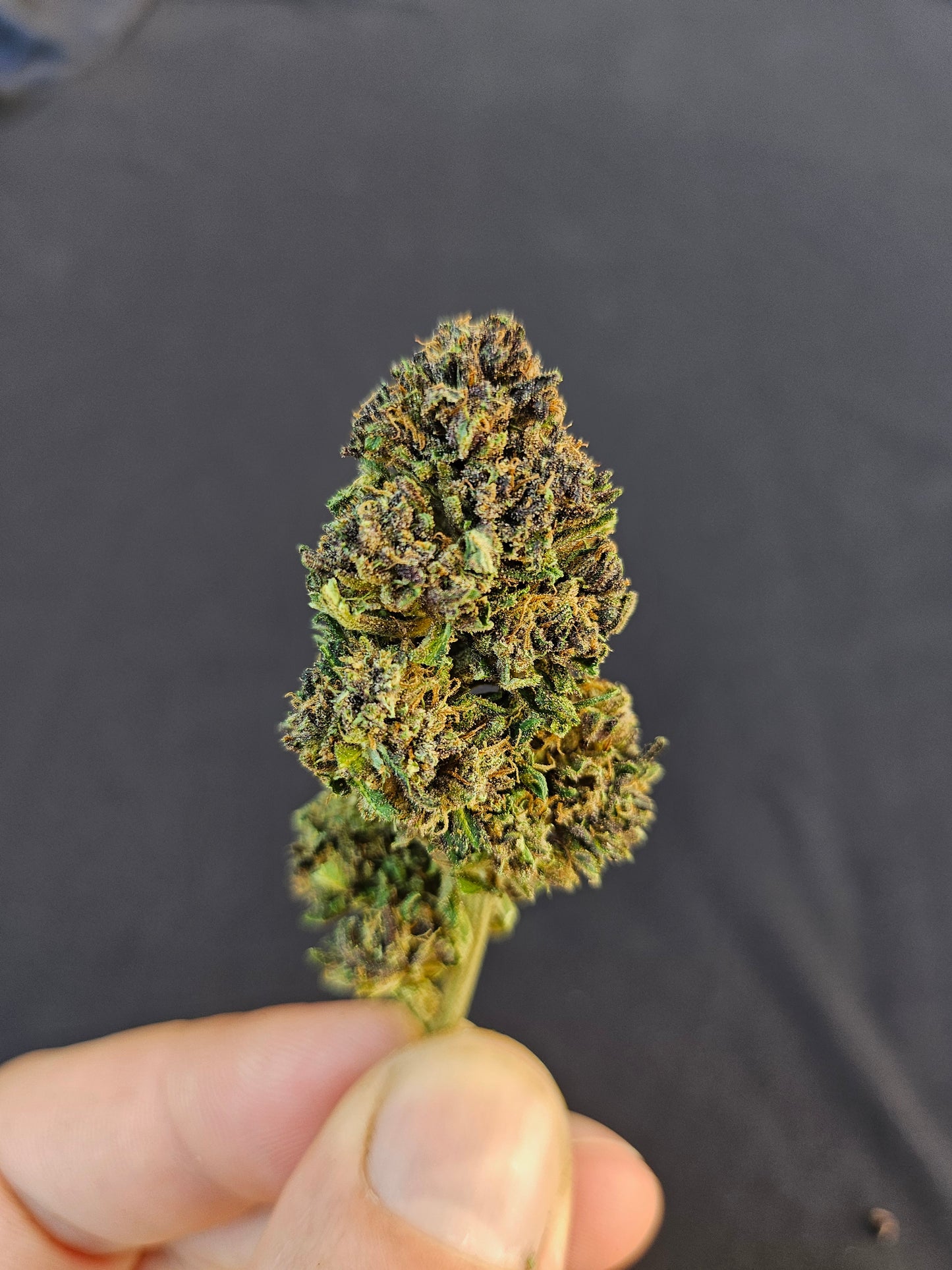 Miracle Lemon Cookie