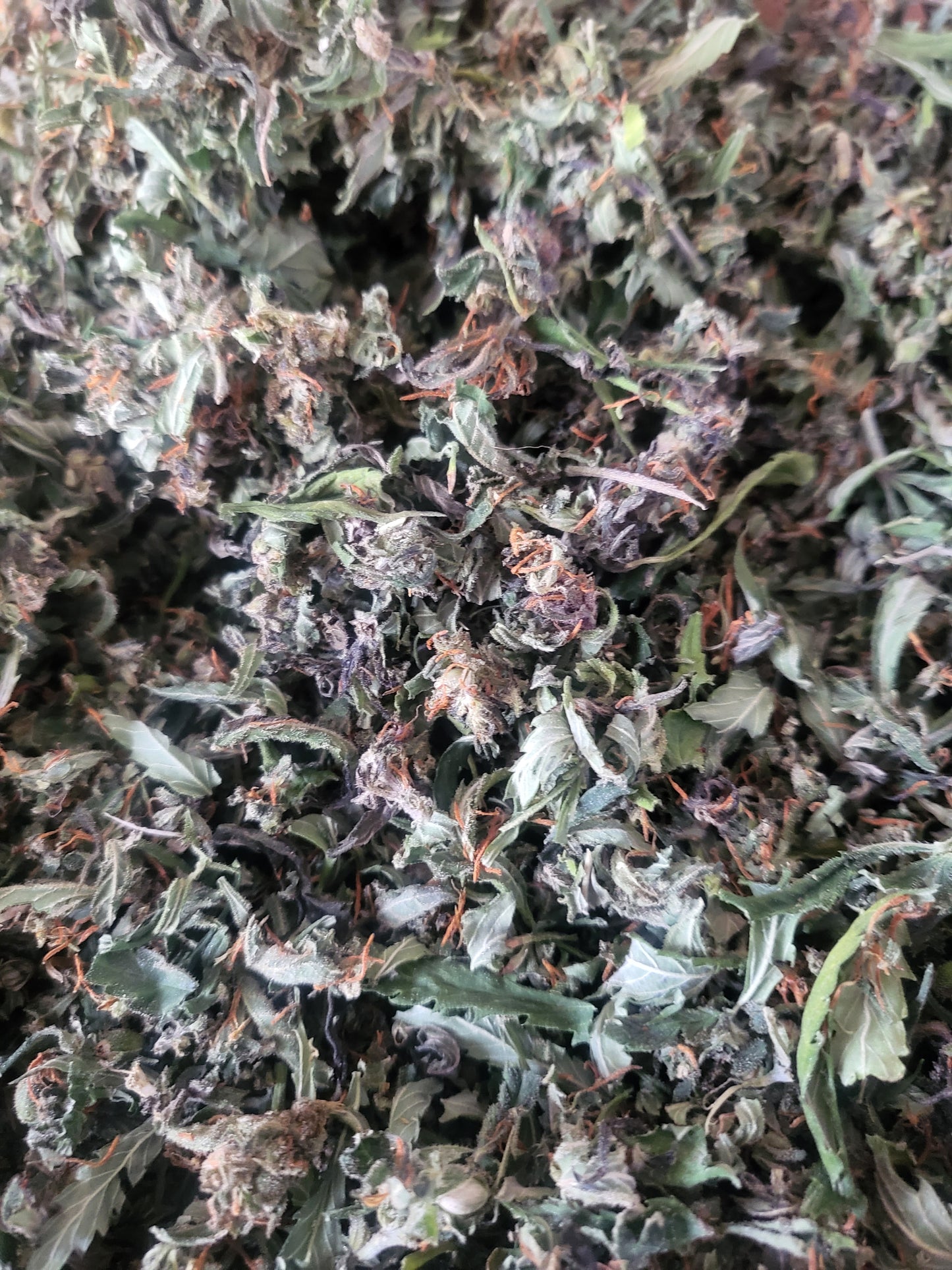 TRIM indoor premium